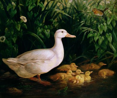 Canard et canetons, vers 1890 - English School